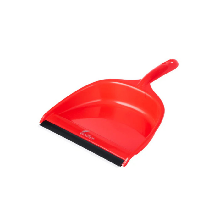 DUSTBIN & DUSTPAN