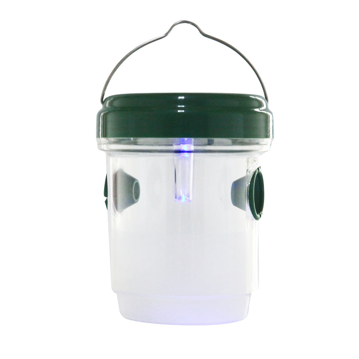 Solar wasp trap
