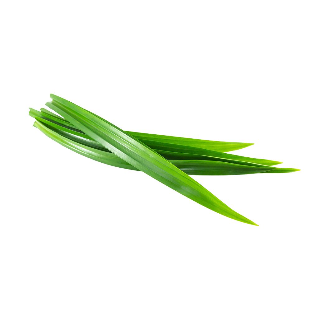 Fresh Pandan/Rampe Leaves - 3Leaves
