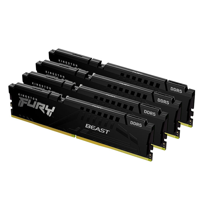 Kingston FURY Beast DDR5 Memory