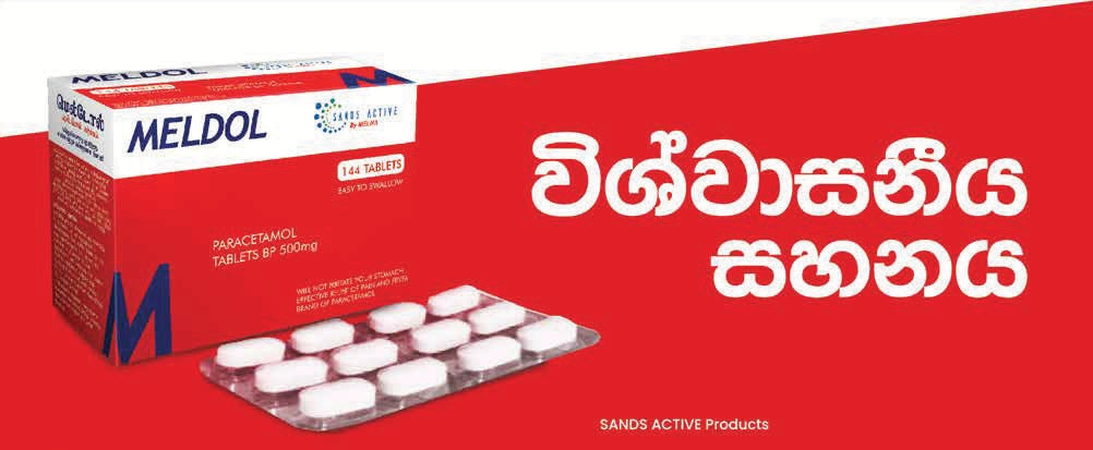 Meldol 500mg Tablets