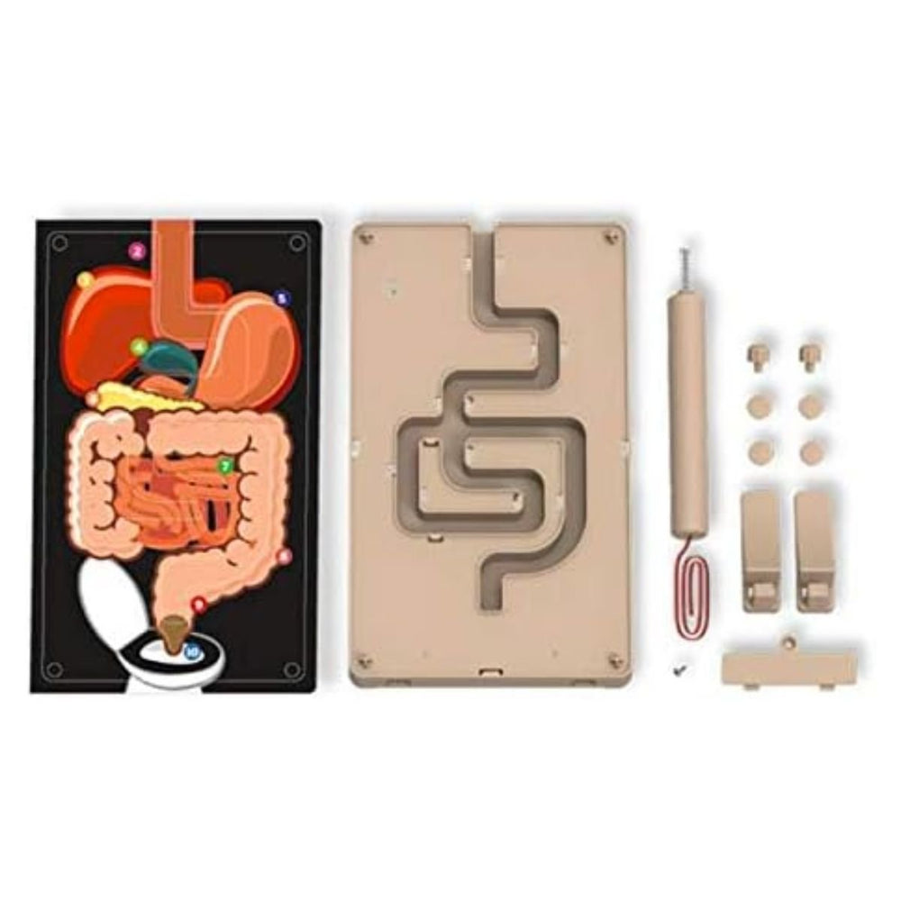 4M KidzLabs Digestive System Buzz Wire