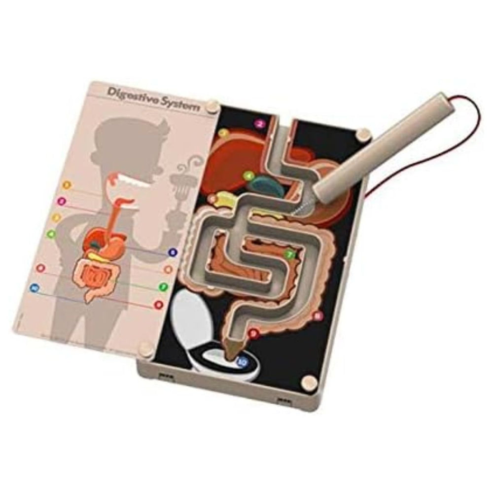 4M KidzLabs Digestive System Buzz Wire