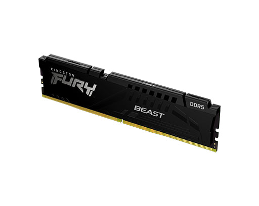 Kingston FURY Beast DDR5 Memory