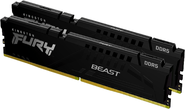 Kingston FURY Beast DDR5 Memory