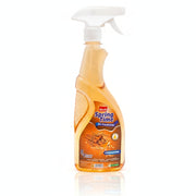 Dash Spring Time Air Freshener Cinnamon Spray - 500ml
