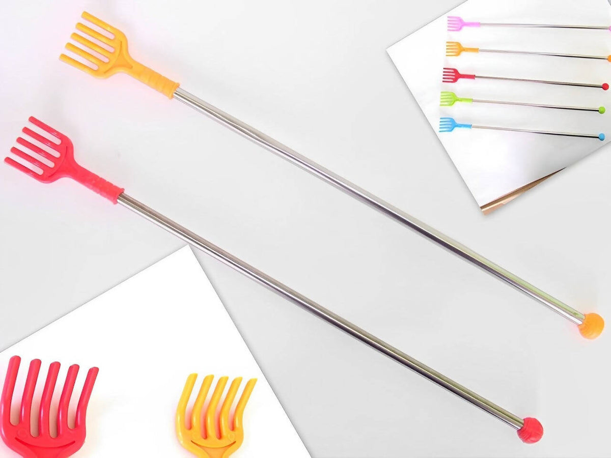 Stainless Steel Long Handle Back Scratcher & Massage Stick – 12 Inch | Silver Colour