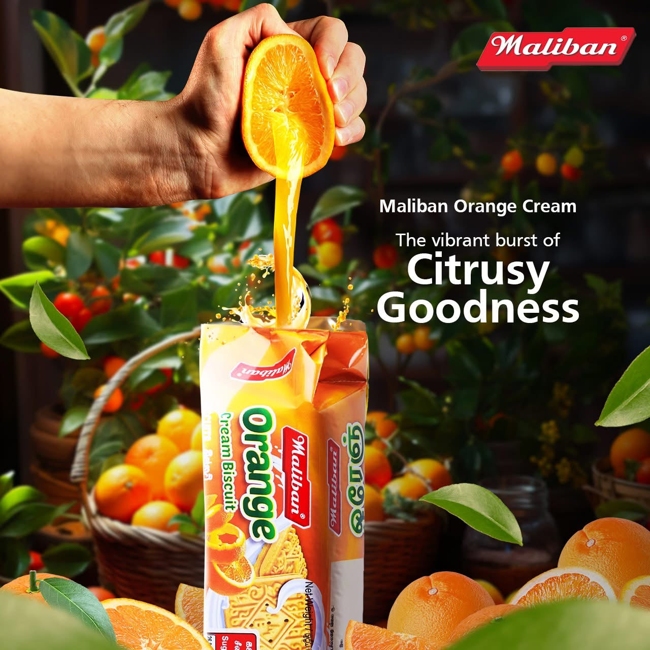 Maliban Orange Cream Biscuits