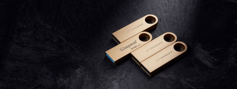 Kingston DataTraveler SE9 G3 USB Flash Drive