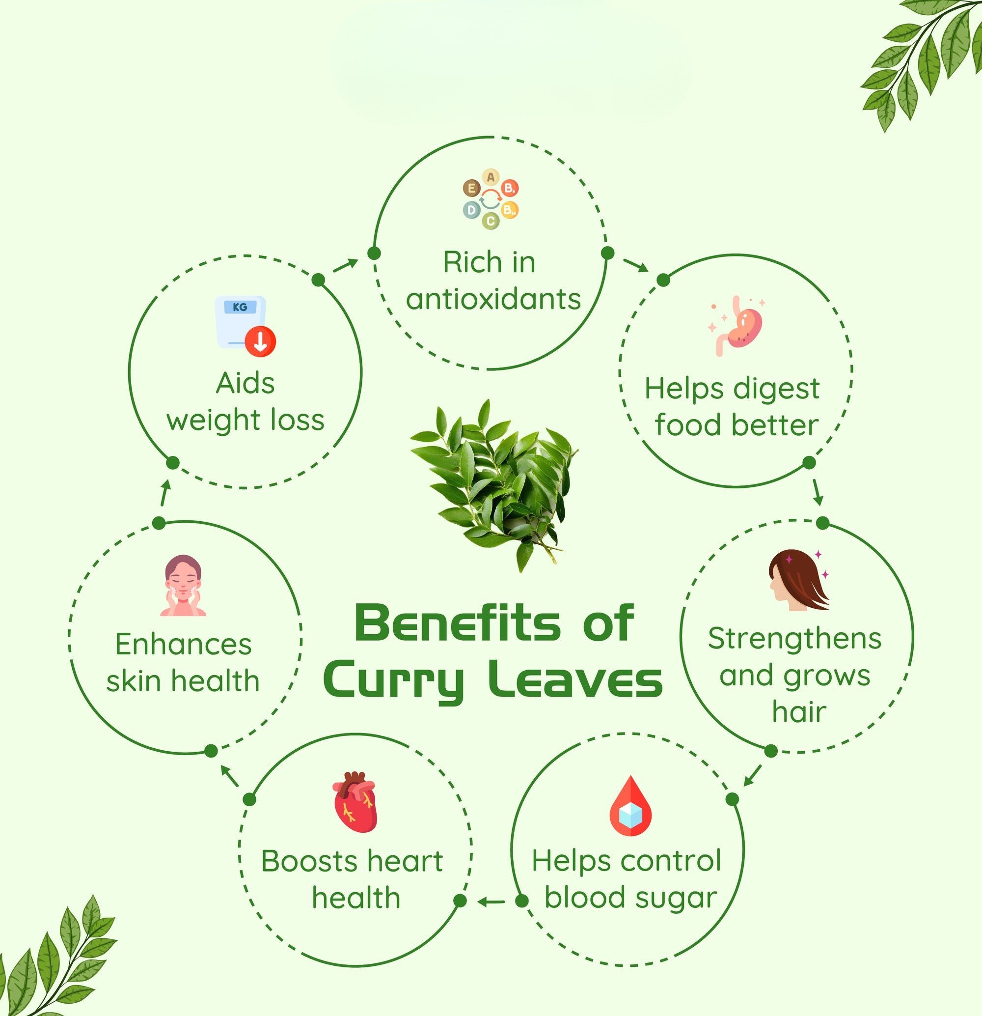 Fresh Curry Leaves – 100g