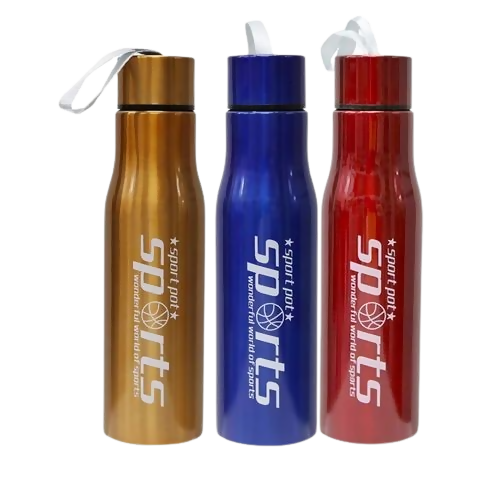 Stainless Steel Water Bottle
