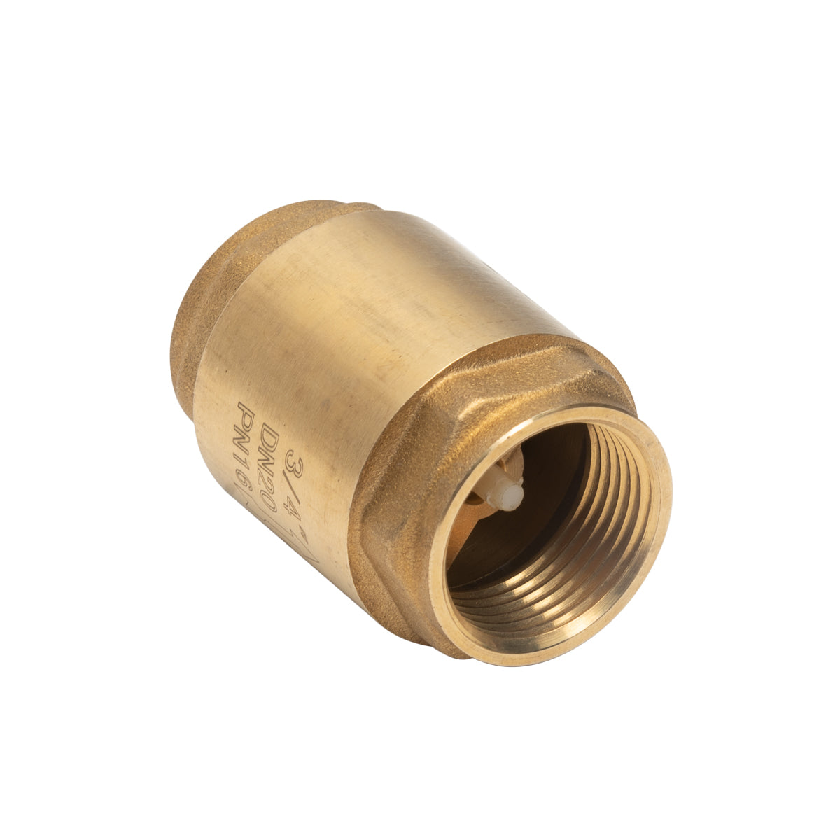 Check Valve (Non-Return Valve)