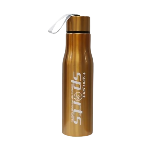 Stainless Steel Water Bottle