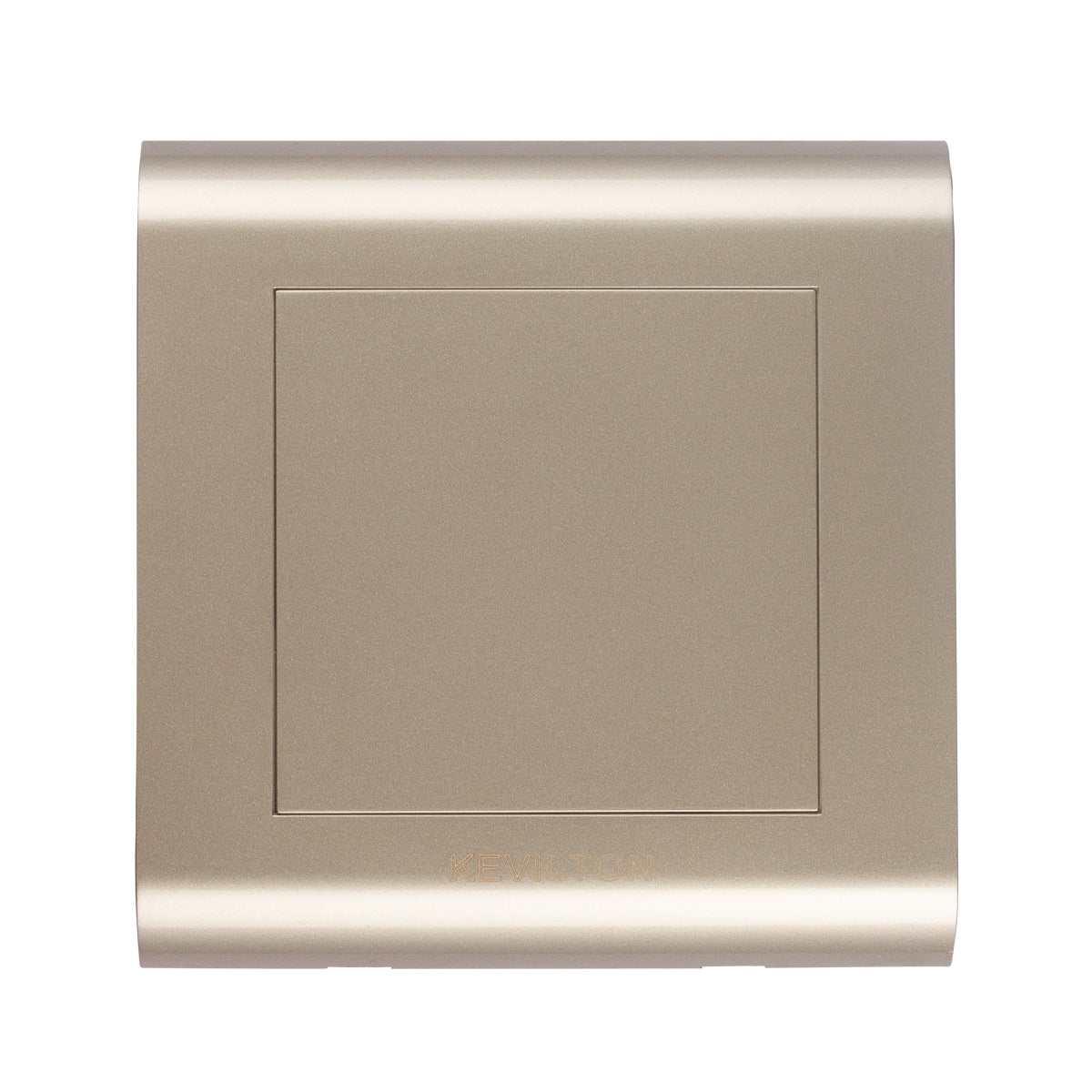 Modular Gold Blank Plate