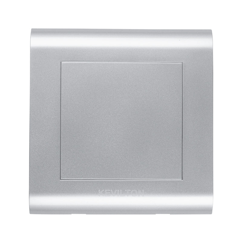 Modular Silver Blank Plate