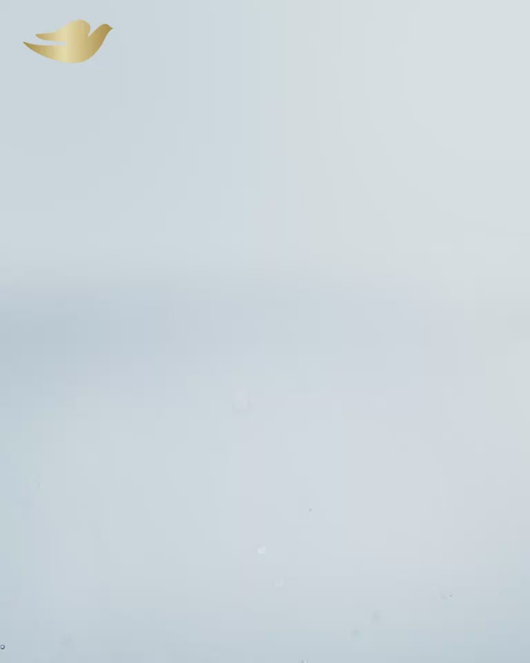 வீடியோவை ஏற்று: டவ் ஆக்சிஜன் ஈரப்பதம் கண்டிஷனர் - 180 மிலி