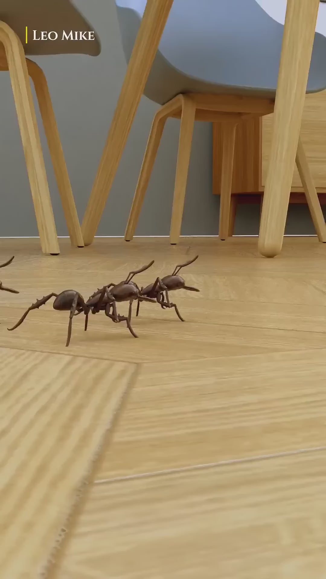 வீடியோவை ஏற்று: எறும்புகள்/கரப்பான் பூச்சிகளுக்கான ஹிட்லைன் சுண்ணாம்பு - 15 கிராம்