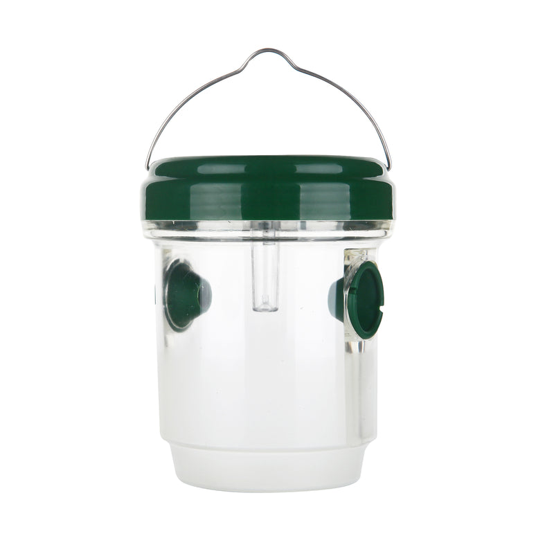 Solar wasp trap