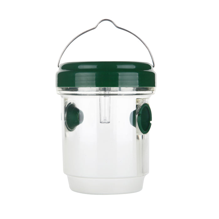 Solar wasp trap