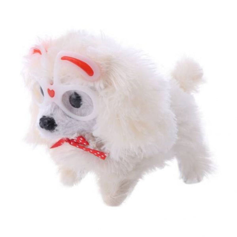 Take Me Home Puppy