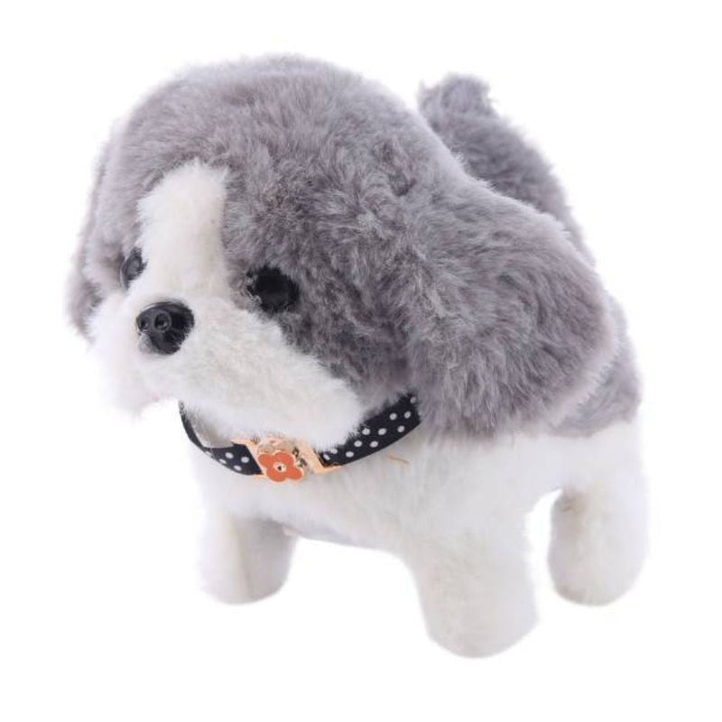 Take Me Home Puppy